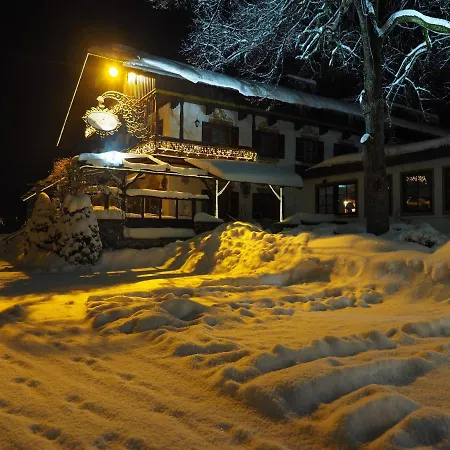 Deva Hotel Alpenhof 4*