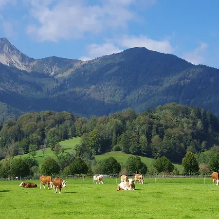 Deva Hotel Alpenhof 4* Bayrischzell