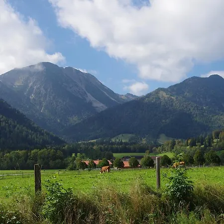Deva Hotel Alpenhof 4*