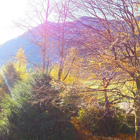 Deva Alpenhof Hotel 4*