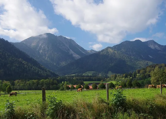 Deva Alpenhof 4*